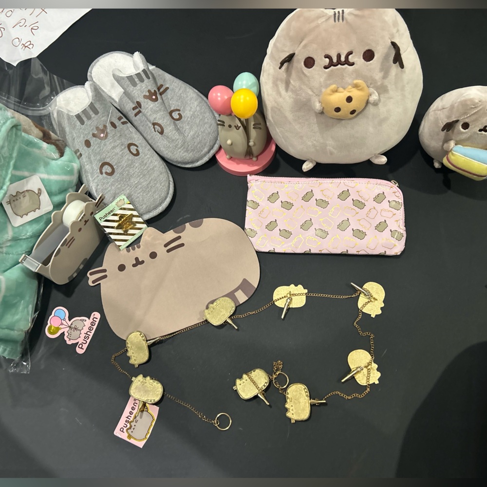 Pusheen gift set birthday or mothers day or kitty lover collectible